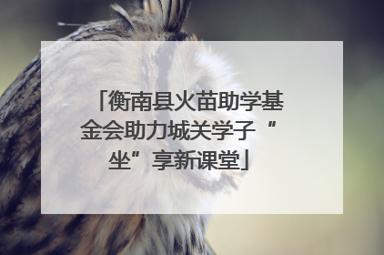 衡南县火苗助学基金会助力城关学子“坐”享新课堂