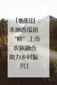 衡阳县：本地香瓜抢“鲜”上市 农旅融合助力乡村振兴