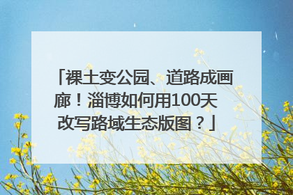 裸土变公园、道路成画廊！淄博如何用100天改写路域生态版图？
