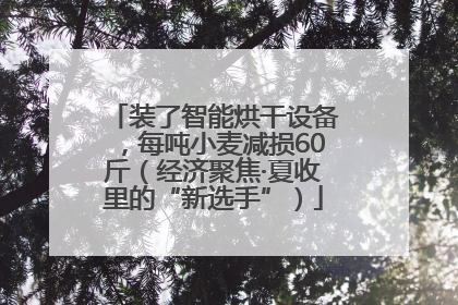装了智能烘干设备，每吨小麦减损60斤（经济聚焦·夏收里的“新选手”）
