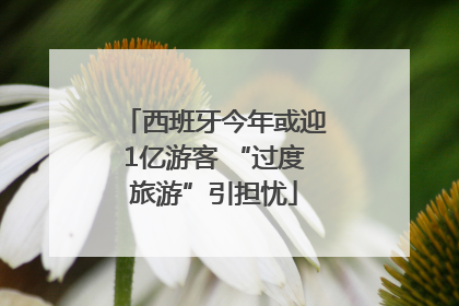 西班牙今年或迎1亿游客 “过度旅游”引担忧