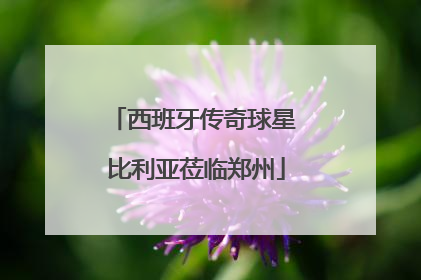 西班牙传奇球星 比利亚莅临郑州