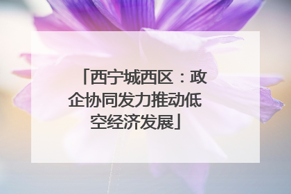 西宁城西区：政企协同发力推动低空经济发展