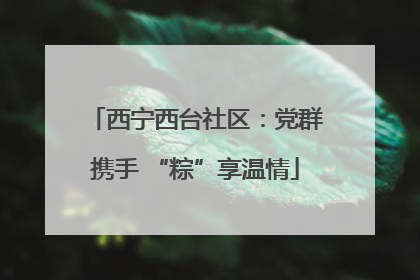 西宁西台社区：党群携手 “粽”享温情