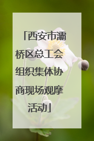 西安市灞桥区总工会组织集体协商现场观摩活动