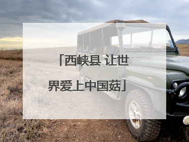 西峡县 让世界爱上中国菇