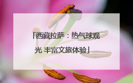 西藏拉萨：热气球观光 丰富文旅体验