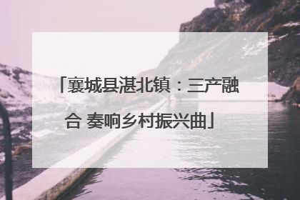 襄城县湛北镇：三产融合 奏响乡村振兴曲