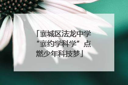襄城区法龙中学“襄约学科学”点燃少年科技梦