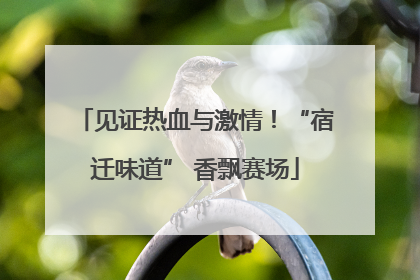 见证热血与激情！“宿迁味道” 香飘赛场