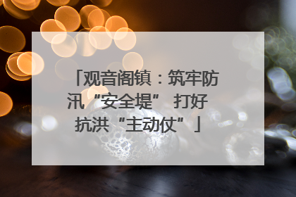 观音阁镇：筑牢防汛“安全堤” 打好抗洪“主动仗”