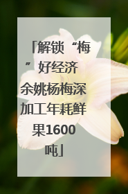 解锁“梅”好经济 余姚杨梅深加工年耗鲜果1600吨
