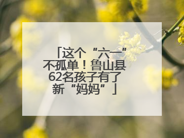 这个“六一”不孤单！鲁山县62名孩子有了新“妈妈”