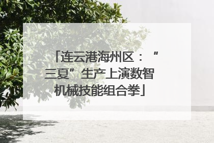 连云港海州区：“三夏”生产上演数智机械技能组合拳