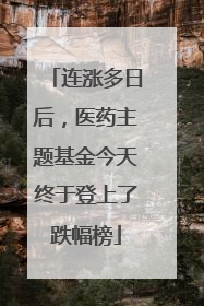 连涨多日后，医药主题基金今天终于登上了跌幅榜