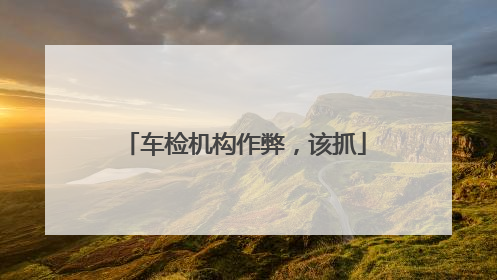 车检机构作弊，该抓