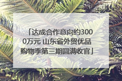 达成合作意向约3000万元 山东省外贸优品购物季第三期圆满收官