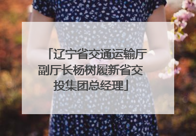 辽宁省交通运输厅副厅长杨树履新省交投集团总经理