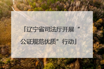 辽宁省司法厅开展“公证规范优质”行动