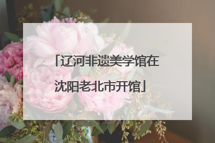 辽河非遗美学馆在沈阳老北市开馆