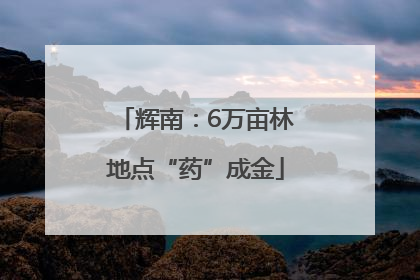 辉南：6万亩林地点“药”成金