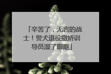 辛苦了，无言的战士！警犬退役撒娇训导员湿了眼眶