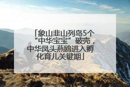 象山韭山列岛5个“中华宝宝”破壳，中华凤头燕鸥进入孵化育儿关键期