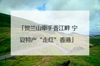 贺兰山牵手香江畔 宁夏特产“走红”香港