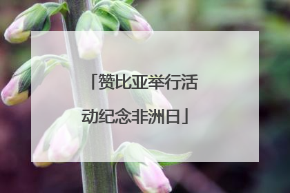 赞比亚举行活动纪念非洲日