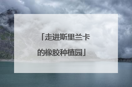 走进斯里兰卡的橡胶种植园