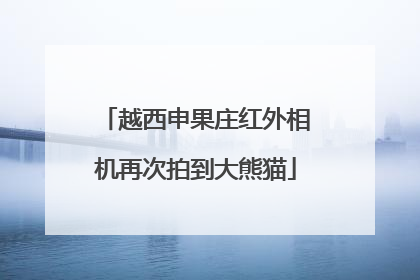 越西申果庄红外相机再次拍到大熊猫