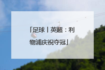 足球丨英超：利物浦庆祝夺冠