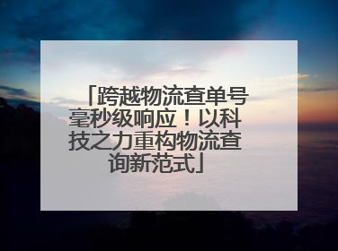 跨越物流查单号毫秒级响应！以科技之力重构物流查询新范式
