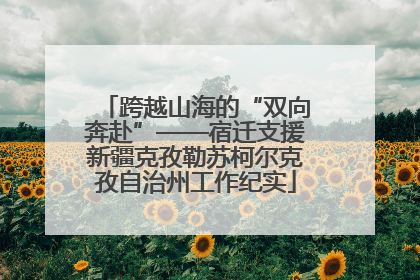 跨越山海的“双向奔赴”——宿迁支援新疆克孜勒苏柯尔克孜自治州工作纪实