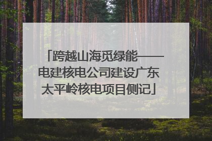 跨越山海觅绿能——电建核电公司建设广东太平岭核电项目侧记