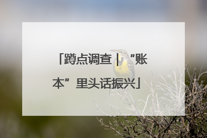 蹲点调查｜“账本”里头话振兴