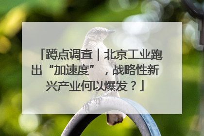 蹲点调查｜北京工业跑出“加速度”，战略性新兴产业何以爆发？