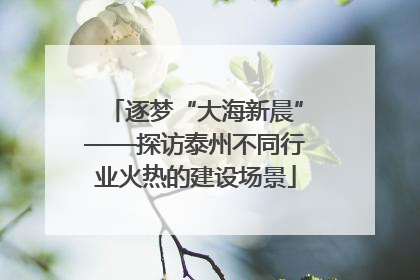 逐梦“大海新晨”——探访泰州不同行业火热的建设场景