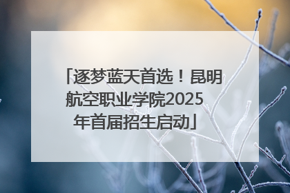 逐梦蓝天首选！昆明航空职业学院2025年首届招生启动