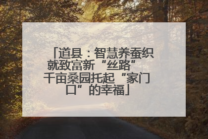 道县：智慧养蚕织就致富新“丝路” 千亩桑园托起“家门口”的幸福