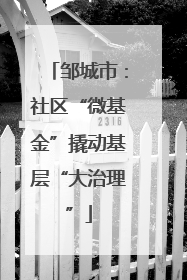 邹城市：社区“微基金”撬动基层“大治理”