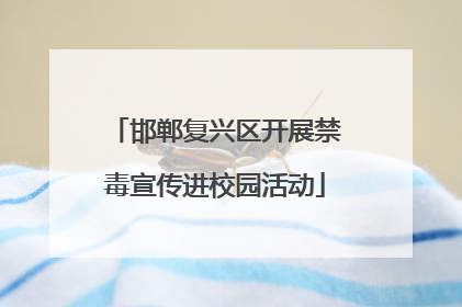 邯郸复兴区开展禁毒宣传进校园活动