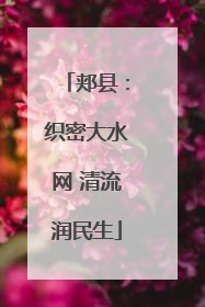 郏县：织密大水网 清流润民生