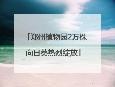 郑州植物园2万株向日葵热烈绽放
