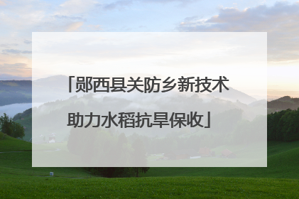 郧西县关防乡新技术助力水稻抗旱保收