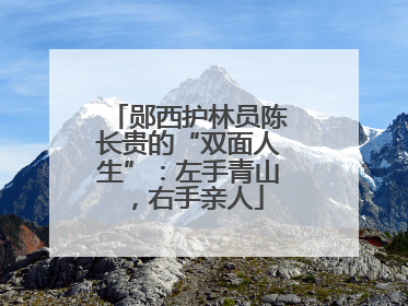 郧西护林员陈长贵的“双面人生”：左手青山，右手亲人