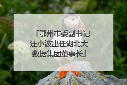 鄂州市委副书记汪小波出任湖北大数据集团董事长