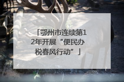 鄂州市连续第12年开展“便民办税春风行动”