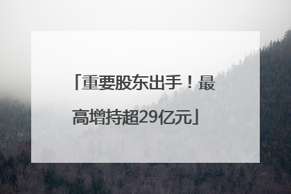 重要股东出手！最高增持超29亿元