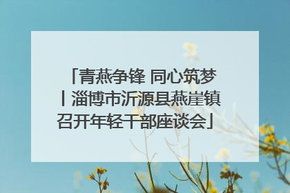 青燕争锋 同心筑梦丨淄博市沂源县燕崖镇召开年轻干部座谈会